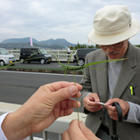 アルバムを表示します