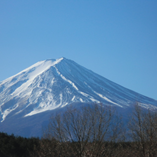 アルバムを表示します