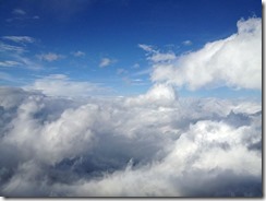 1186755_498376666919864_283999212_n