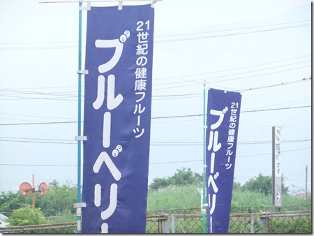 DSCF2521