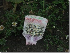 DSCF2568