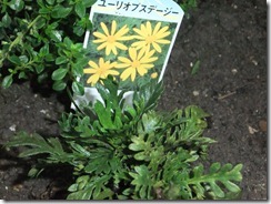 DSCF2569