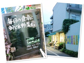 アルバムを表示します