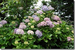 img_1450289_62566409_1