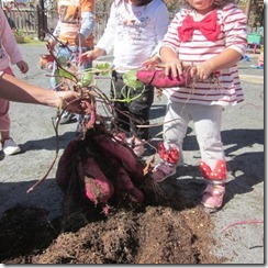 404717_359138137510385_1449517939_n