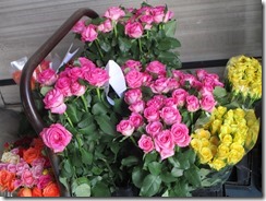 IMG_8039