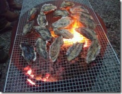 425762_292110260861049_100001862320805_710615_1701752402_n[1]