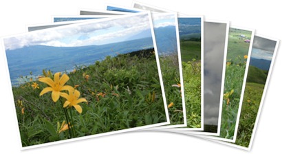 アルバムを表示します