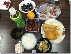 DSCF3311