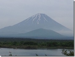 226638_454589007965297_317374037_n