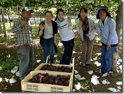 1006039_482553805168817_101743829_n