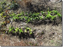 IMG_1602
