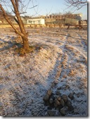 かわいいおへそ555555 068