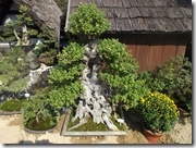 かわいいおへそ555555 994