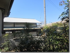 IMG_9034