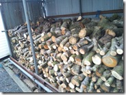 かわいいおへそ555555 266