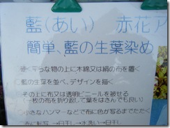 seikoの記録17 002