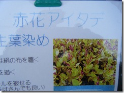 seikoの記録17 003