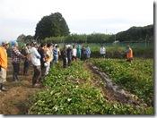 かわいいおへそ０123 011