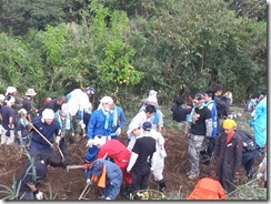 かわいいおへそ０123 013