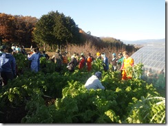 かわいいおへそ555555 013