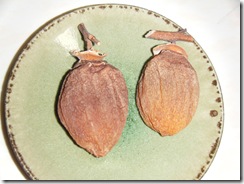 seikoの記録21 008