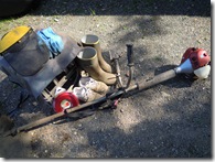 かわいいおへそ33