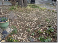 かわいいおへそ555555 171