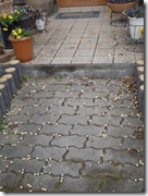 かわいいおへそ555555 175