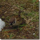 かわいいおへそ555555 272