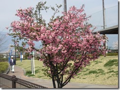 IMG_9044