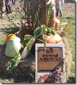 かわいいおへそ555555 974