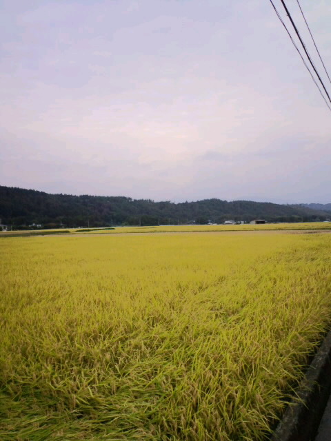 CA3G0655.jpg