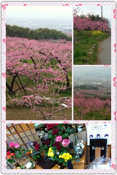 縁ジェリスト日記〜14日目