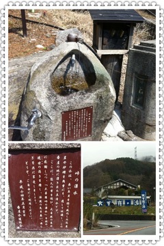 縁ジェリスト日記〜15日目