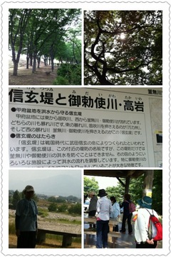 縁ジェリスト日記〜61日目