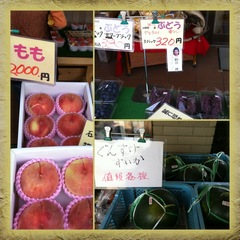 縁ジェリスト日記125日目〜道の駅