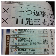 縁ジェリスト日記166日〜国語世論調査