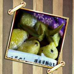 縁ジェリスト日記242〜幸運の黄色いお結び☆