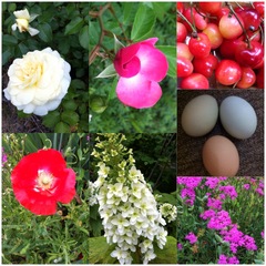 縁ジェリスト日記417〜なっちゃんの楽にて