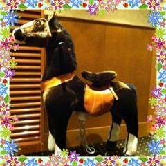 縁ジェリスト日記440〜白馬に乗った王子様！？