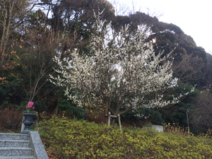 IMG_0893.jpgのサムネール画像